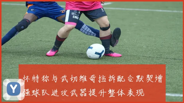 怀特称与武切维奇挡拆配合默契增强球队进攻武器提升整体表现