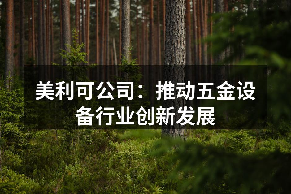 美利可公司生产线的智能升级